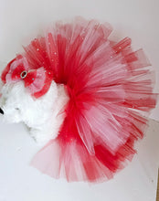 Load image into Gallery viewer, Pet Tutu Set Cascade Red/Pink
