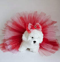 Load image into Gallery viewer, Pet Tutu Set Cascade Red/Pink