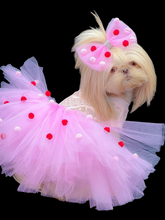Load image into Gallery viewer, Pink Pom Pom Tutu set