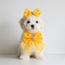 Load image into Gallery viewer, Professional White Puppy with Golden Bows