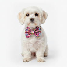 Load image into Gallery viewer, Dog Pet.Pop Art Print Bow Tie