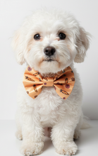 Load image into Gallery viewer, Easter Pet Bow Tie - Carrots