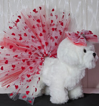 Load image into Gallery viewer, Pet Tutu Set - Love is in The Air