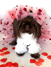Load image into Gallery viewer, Pet Tutu Set - Love is in The Air