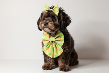 Load image into Gallery viewer, Easter Carrot Bow Tie & Hair Bow Set