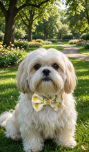 Load image into Gallery viewer, Pineapple Print Dog Pet.Bow Tie