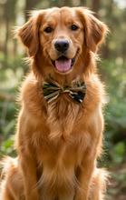 Load image into Gallery viewer, Camouflage Bow Tie