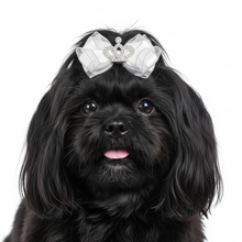 Load image into Gallery viewer, White crown bow on black Shih Tzu