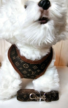 Load image into Gallery viewer, Floral Brown Harness and Leash Set
