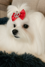 Load image into Gallery viewer, Royal Pup Crown Bow
