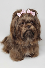 Load image into Gallery viewer, Pink Rose Bows on Elastic – Dog Grooming Hair Bows (10 pcs)
