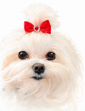 Load image into Gallery viewer, Sweetheart Red Satin Grooming Bow Set of 10pcs
