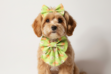 Load image into Gallery viewer, Easter Carrot Bow Tie &amp; Hair Bow Set
