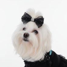 Load image into Gallery viewer, White Dog with Black Bow Professional
